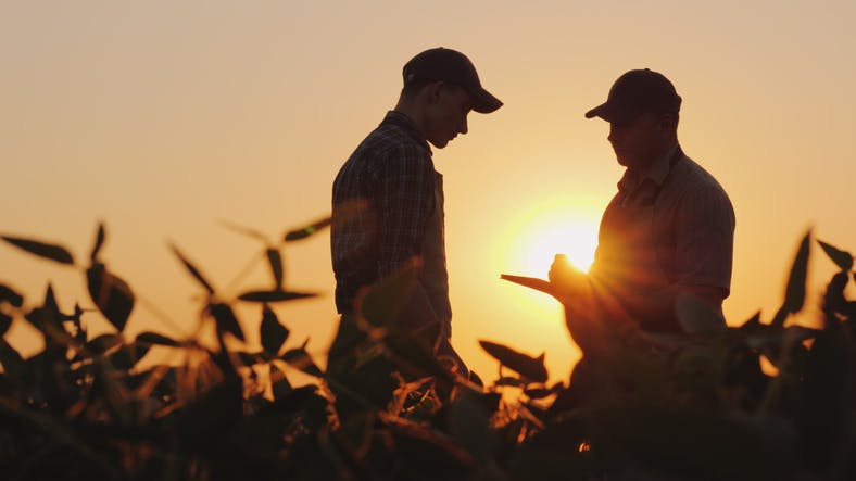 A Crash Course on Pension Tax Laws for Farm & Private Corporations